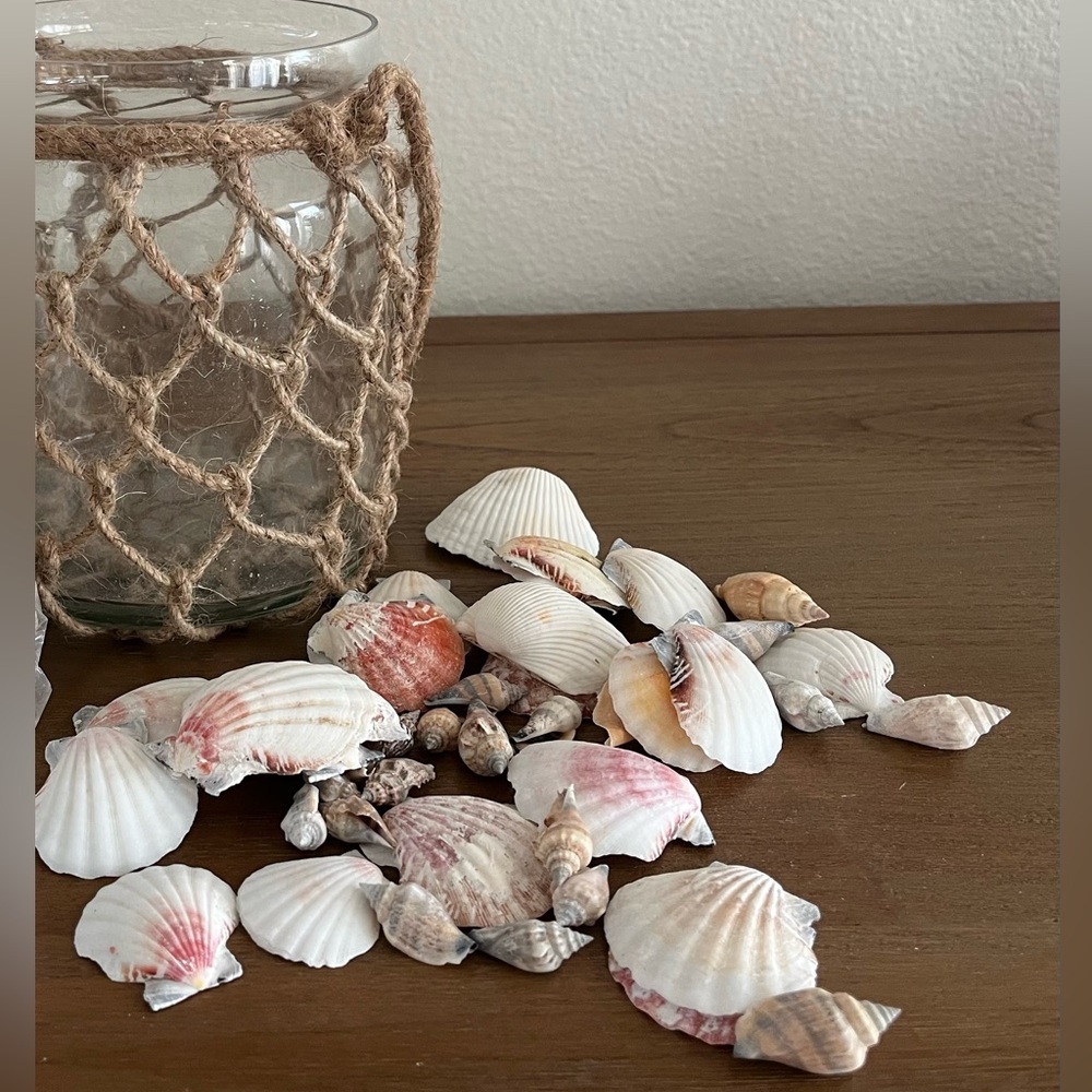 Nautical Glass Lantern & Shells - Coastal Decor